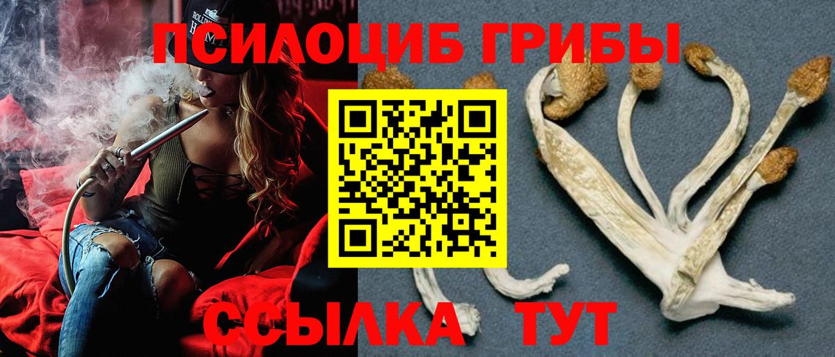 Псилоцибиновые грибы мухоморы Назрань