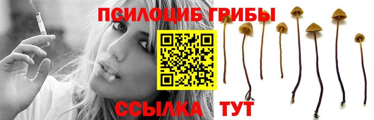 где найти наркотики  Вход с VPN  Назрань  Галлюциногенные грибы ЛСД 